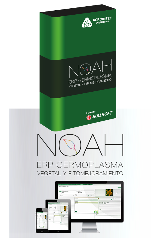 whyNOAH-6