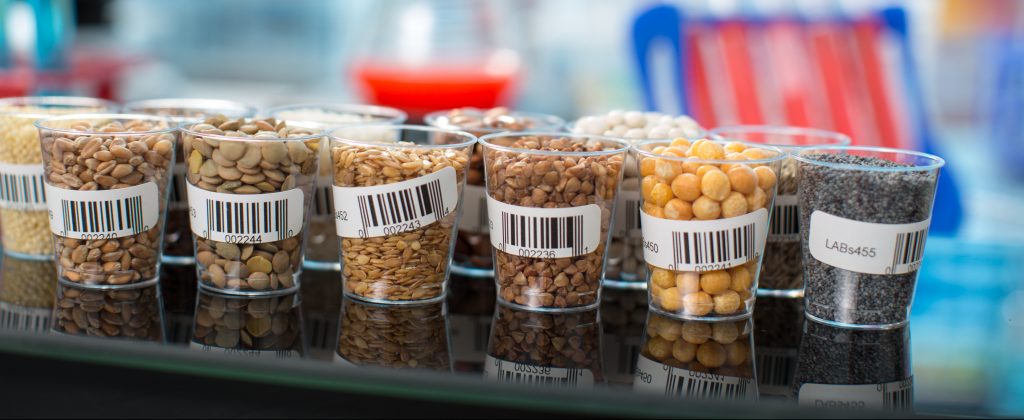 Seeds and cereals in the laboratory of food quality