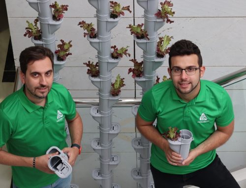 NACE SAV, LA AGRICULTURA VERTICAL A MEDIDA, DE LA MANO DE AGROINTEC